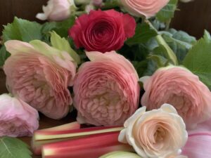 Rhubarb & Rose Fragrance Oil